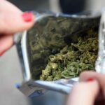 AUMENTÓ LA VENTA DE CANNABIS EN LAS FARMACIAS