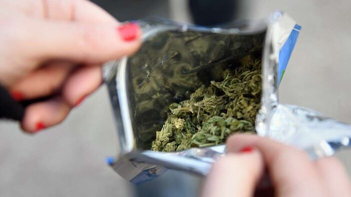 AUMENTÓ LA VENTA DE CANNABIS EN LAS FARMACIAS