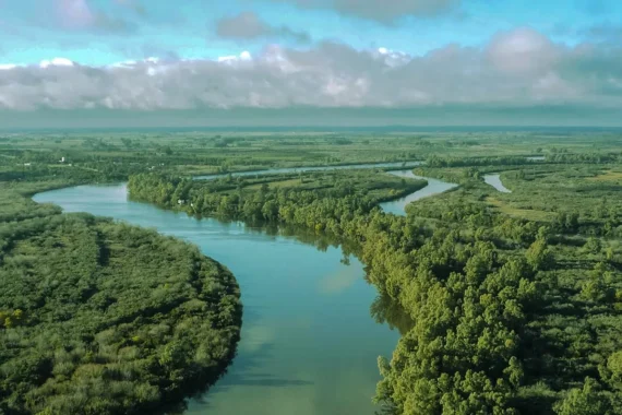 OSE informa «cambios en el sabor y color habitual en el agua» potable que llega a Montevideo y el área metropolitana