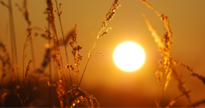Pronóstico del clima para la ciudad de Canelones y localidades cercanas.
