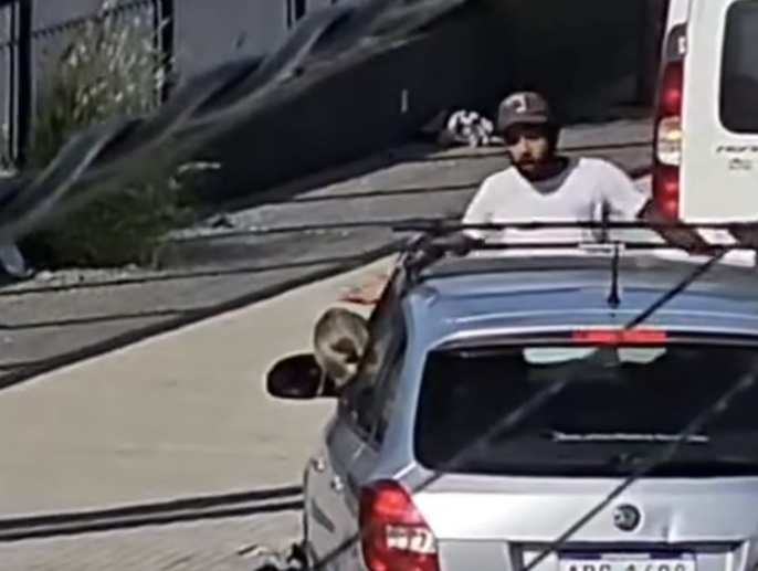 Problemas con los ciudacoches en Pando